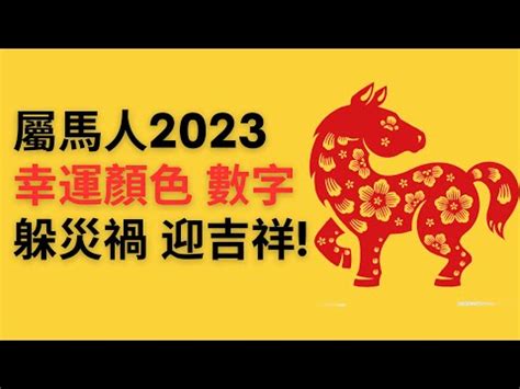 屬馬幸運數字2023|2023兔年生肖開運指南！幸運色、幸運數字、招財方。